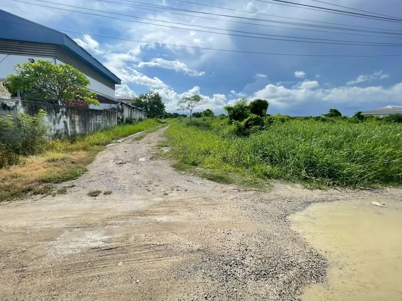 บางปลา, สมุทรปราการ, บางปลา, บางพลี, สมุทรปราการ, 6,400 ตร.ม., ที่ดิน ขาย, โดย กรรณิการ์ สุริยะ, 500315797 - DDproperty.com