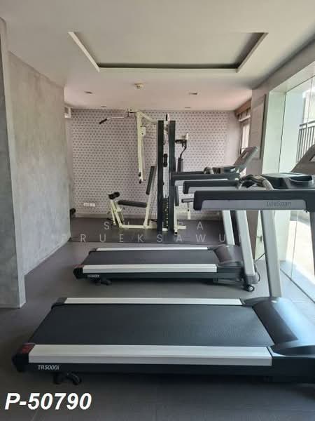 Condo One Siam condominium, กรุงเทพ, พระราม 1, วังใหม่, ปทุมวัน, กรุงเทพ, 60 ตร.ม., คอนโด ให้เช่า, โดย Susira Prueksawun, 500315842 - DDproperty.com