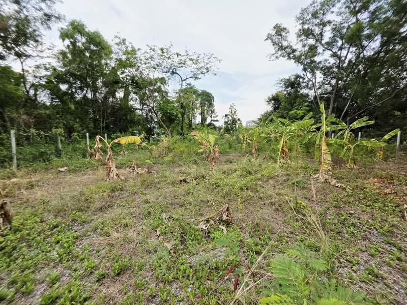 Land for sale 155SQ.w.Lake Gargen Village, Rangsit Khlong3, Pathum Thani, Rangsit, Thanyaburi, Pathum Thani, , 620 sqm, Land For Sale, by ยรรยง ลิ้มสุวรรณ, 500315947 - DDproperty.com