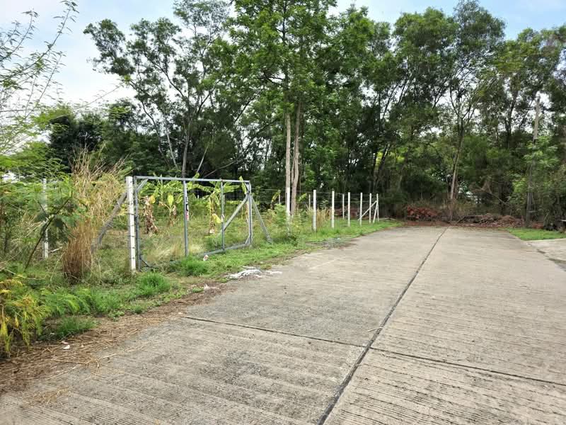 ขายที่ดิน 155 ตรว.หมู่บ้านเลคการ์เด้นวิลล์ รังสิต คลอง3, ปทุมธานี, รังสิต, ธัญบุรี, ปทุมธานี, 620 ตร.ม., ที่ดิน ขาย, โดย ยรรยง ลิ้มสุวรรณ, 500315947 - DDproperty.com