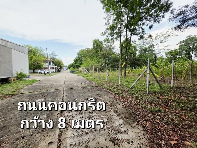 ขายที่ดิน 155 ตรว.หมู่บ้านเลคการ์เด้นวิลล์ รังสิต คลอง3, ปทุมธานี, รังสิต, ธัญบุรี, ปทุมธานี, 620 ตร.ม., ที่ดิน ขาย, โดย ยรรยง ลิ้มสุวรรณ, 500315947 - DDproperty.com