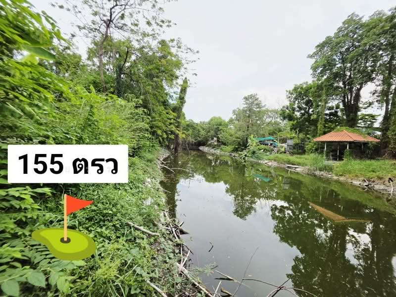 ขายที่ดิน 155 ตรว.หมู่บ้านเลคการ์เด้นวิลล์ รังสิต คลอง3, ปทุมธานี, รังสิต, ธัญบุรี, ปทุมธานี, 620 ตร.ม., ที่ดิน ขาย, โดย ยรรยง ลิ้มสุวรรณ, 500315947 - DDproperty.com