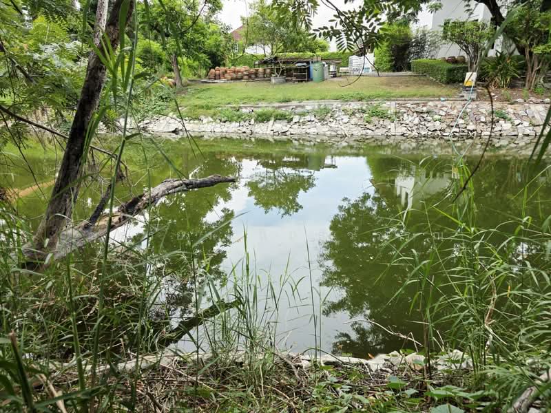 ขายที่ดิน 155 ตรว.หมู่บ้านเลคการ์เด้นวิลล์ รังสิต คลอง3, ปทุมธานี, รังสิต, ธัญบุรี, ปทุมธานี, 620 ตร.ม., ที่ดิน ขาย, โดย ยรรยง ลิ้มสุวรรณ, 500315947 - DDproperty.com