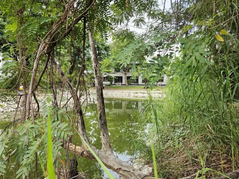 ขายที่ดิน 155 ตรว.หมู่บ้านเลคการ์เด้นวิลล์ รังสิต คลอง3, ปทุมธานี, รังสิต, ธัญบุรี, ปทุมธานี, 620 ตร.ม., ที่ดิน ขาย, โดย ยรรยง ลิ้มสุวรรณ, 500315947 - DDproperty.com