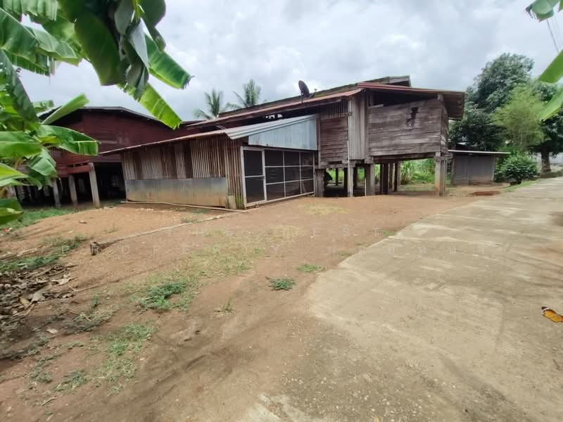 ที่ดินงิ้วงาม อุตรดิตถ์, Uttaradit, Ngiu Ngam, Muang Uttaradit, Uttaradit, , 80 sqm, Land For Sale, by The Best Property น้อยหน่า, 500315964 - DDproperty.com