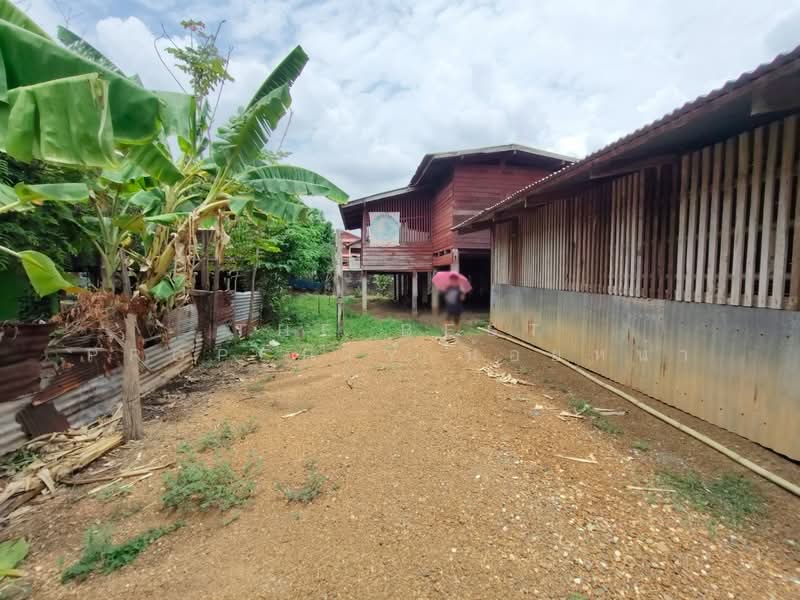 ที่ดินงิ้วงาม อุตรดิตถ์, Uttaradit, Ngiu Ngam, Muang Uttaradit, Uttaradit, , 80 sqm, Land For Sale, by The Best Property น้อยหน่า, 500315964 - DDproperty.com