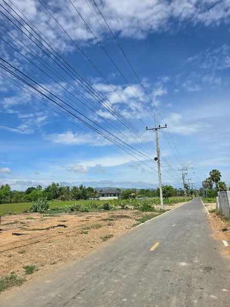 ที่ดินบ้านลาด เพชรบุรี, เพชรบุรี, โรงเข้, บ้านลาด, เพชรบุรี, 400 ตร.ม., ที่ดิน ขาย, โดย The Best Property  ต่าย, 500316013 - DDproperty.com