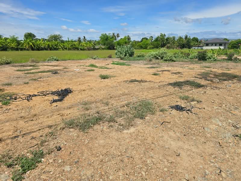 ที่ดินบ้านลาด เพชรบุรี, Phetchaburi, Rong Khe, Ban Lat, Phetchaburi, , 400 sqm, Land For Sale, by The Best Property ต่าย, 500316013 - DDproperty.com