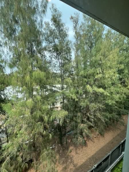 MT Residences, Pathum Thani, 99 Village No. 7, Khlong Song, Khlong Luang, Pathum Thani, 1 Bedroom, 34 sqm, Condo For Rent, by พชร ชาญศิริ, 500316042 - DDproperty.com