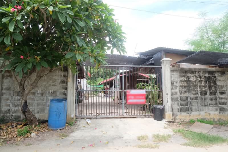 ที่ดินโพรงมะเดื่อ นครปฐม, Nakhon Pathom, Phrong Ma Dua, Muang Nakhon Pathom, Nakhon Pathom, , 208 sqm, Land For Sale, by The Best Property เป๊ก, 500316109 - DDproperty.com