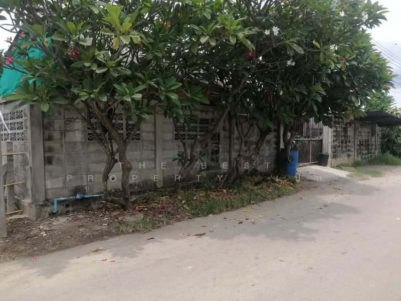 ที่ดินโพรงมะเดื่อ นครปฐม, นครปฐม, โพรงมะเดื่อ, เมืองนครปฐม, นครปฐม, 208 ตร.ม., ที่ดิน ขาย, โดย The Best Property เป๊ก, 500316109 - DDproperty.com