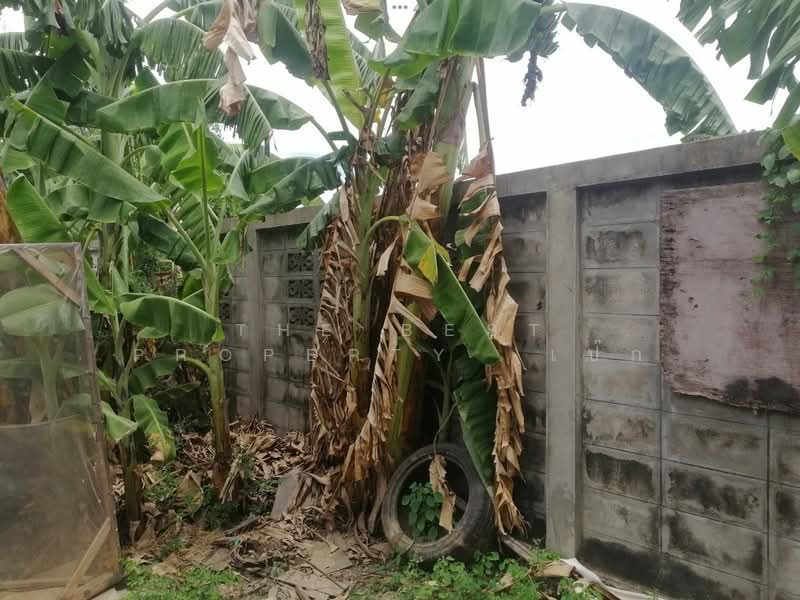ที่ดินโพรงมะเดื่อ นครปฐม, Nakhon Pathom, Phrong Ma Dua, Muang Nakhon Pathom, Nakhon Pathom, , 208 sqm, Land For Sale, by The Best Property เป๊ก, 500316109 - DDproperty.com
