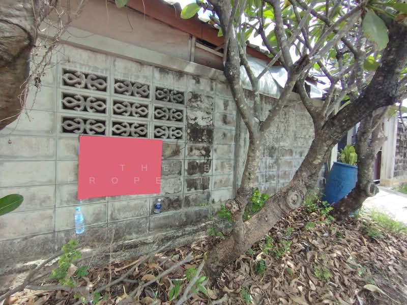 ที่ดินโพรงมะเดื่อ นครปฐม, Nakhon Pathom, Phrong Ma Dua, Muang Nakhon Pathom, Nakhon Pathom, , 208 sqm, Land For Sale, by The Best Property เป๊ก, 500316109 - DDproperty.com