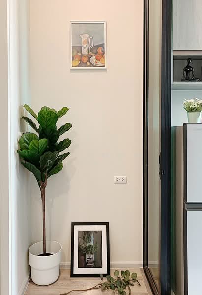 KnightsBridge Collage Ramkhamhaeng, Bangkok, Ramkhamhaeng Road, Hua Mak, Bang Kapi, Bangkok, 1 Bedroom, 27 sqm, Condo For Rent, by Chanon Phangchienghien, 500316124 - DDproperty.com