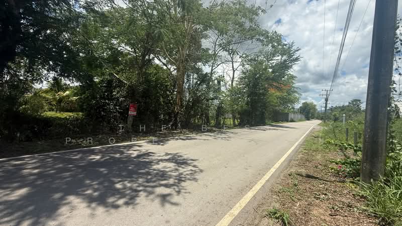 ที่ดินแม่ริม เชียงใหม่, Chiang Mai, Ki Lek, Mae Rim, Chiang Mai, , 3,200 sqm, Land For Sale, by The Best Property บอย, 500316144 - DDproperty.com