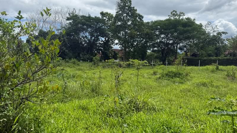 ที่ดินแม่ริม เชียงใหม่, Chiang Mai, Ki Lek, Mae Rim, Chiang Mai, , 3,200 sqm, Land For Sale, by The Best Property บอย, 500316144 - DDproperty.com