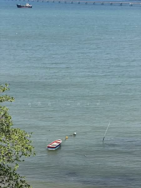 ขายด่วน ที่ดินทำเลดีติดทะเลแปลงสวย 2 ไร่กว่า ชายหาดศรีราชา, ชลบุรี, บางพระ, ศรีราชา, ชลบุรี, 3,792 ตร.ม., ที่ดิน ขาย, โดย ดุสิต แสงฟ้า, 500316186 - DDproperty.com