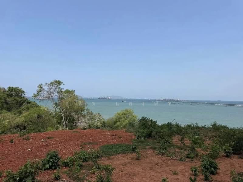 ขายด่วน ที่ดินทำเลดีติดทะเลแปลงสวย 2 ไร่กว่า ชายหาดศรีราชา, ชลบุรี, บางพระ, ศรีราชา, ชลบุรี, 3,792 ตร.ม., ที่ดิน ขาย, โดย ดุสิต แสงฟ้า, 500316186 - DDproperty.com