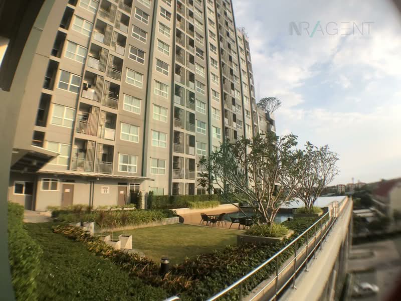 Supalai Park Talat Phlu Station, Bangkok, Ratchadapisek Road, Bukkalo, Thon Buri, Bangkok, 1 Bedroom, 35 sqm, Condo For Sale, by NR AGENT, 500316187 - DDproperty.com