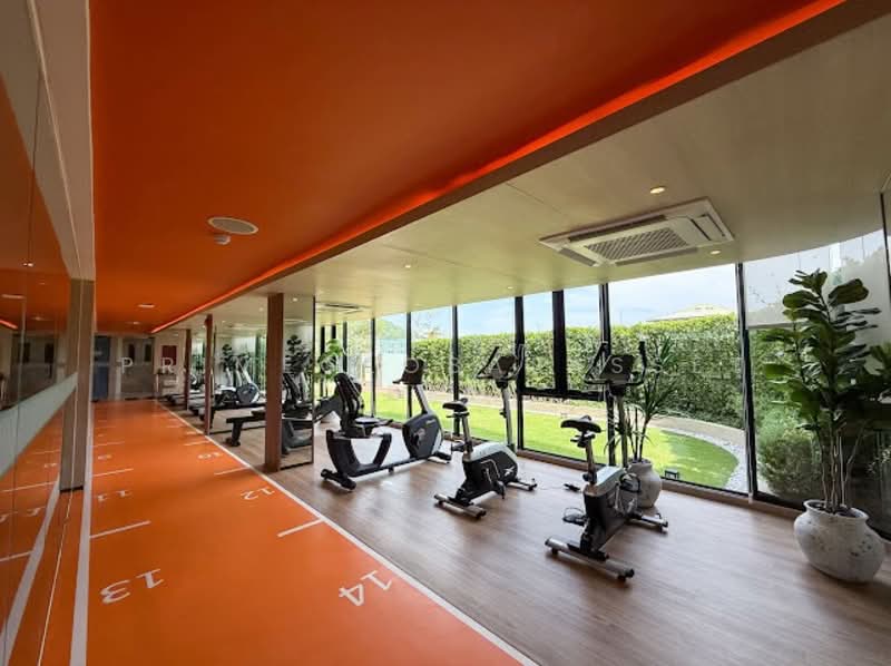 The Base Bukit Phuket : เดอะ เบส บูกิต, ภูเก็ต, 12 ถ.วิชิตสงคราม, วิชิต, เมืองภูเก็ต, ภูเก็ต, 30 ตร.ม., คอนโด ให้เช่า, โดย primeglobalasset bee, 500316192 - DDproperty.com