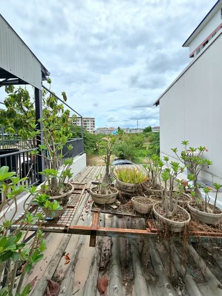 อาคารพาณิชย์ดอนหัวฬ่อ ชลบุรี, Chon Buri (Pattaya), Don Hualo, Muang Chon Buri, Chon Buri (Pattaya), , 120 sqm, Shophouse For Sale, by The Best Property ปู, 500316198 - DDproperty.com