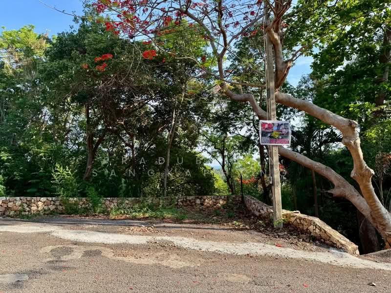 Hinsuay Namsai Resort Hotel, Rayong, Chakphong, Klaeng, Rayong, 2 Bedrooms, 200 sqm, Single Detached House For Sale, by PRADUBPORN SANGKAPHONG, 500316228 - DDproperty.com