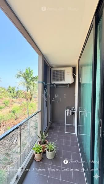 The Pixels Cape Panwa, Phuket, 89 Moo 8, Wichit, Muang Phuket, Phuket, Studio, 29 sqm, Condo For Rent, by Prime Global Asset Co.,Ltd, 500316238 - DDproperty.com