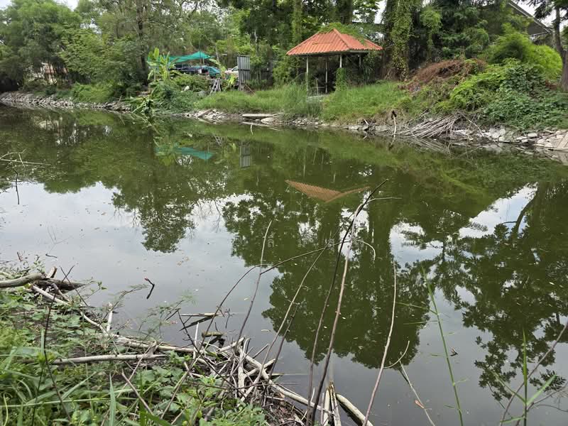 Lake Garden Villa Rangsit-Klong 3 : เลค การ์เด้น วิลล์ รังสิต-คลอง 3, ปทุมธานี, บึงยี่โถ, ธัญบุรี, ปทุมธานี, 620 ตร.ม., ที่ดิน ขาย, โดย ยรรยง ลิ้มสุวรรณ, 500316305 - DDproperty.com