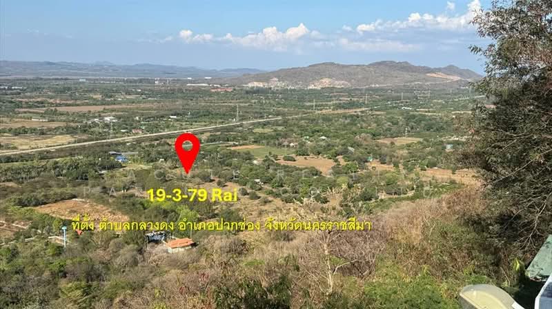 ขายที่ดินเปล่า 19 ไร่ 379 ตร.ว. ต.กลางดง อ.ปากช่อง นครราชสีมา วิวเขาพาโนรามา, นครราชสีมา, กลางดง, ปากช่อง, นครราชสีมา, 31,916 ตร.ม., ที่ดิน ขาย, โดย Acute Realty Partner Co.,Ltd., 500316460 - DDproperty.com