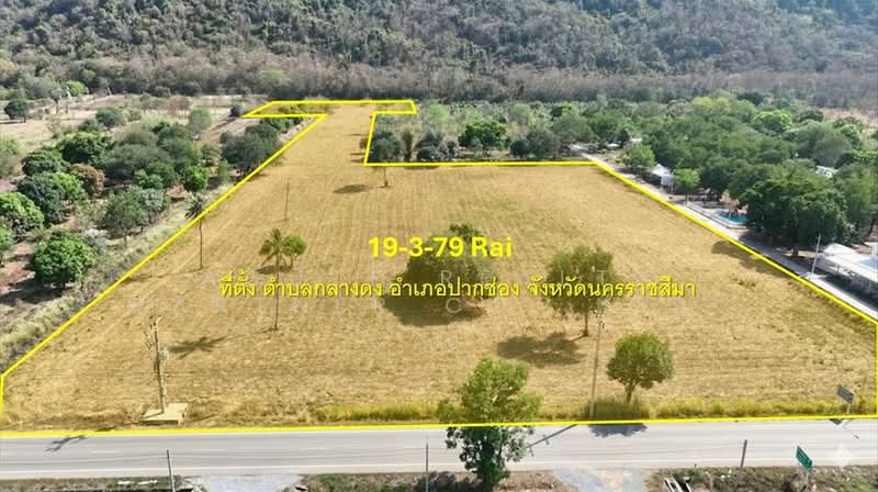 Vacant land for sale, 19 rai 379 sq.wa, Klang Dong Subdistrict, Pak Chong District, Nakhon Ratchasi, Nakhon Ratchasima, Klang Dong, Pak Chong, Nakhon Ratchasima, , 31,916 sqm, Land For Sale, by Acute Realty Partner Co.,Ltd., 500316460 - DDproperty.com