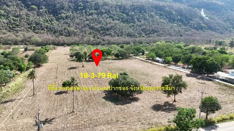 Vacant land for sale, 19 rai 379 sq.wa, Klang Dong Subdistrict, Pak Chong District, Nakhon Ratchasi, Nakhon Ratchasima, Klang Dong, Pak Chong, Nakhon Ratchasima, , 31,916 sqm, Land For Sale, by Acute Realty Partner Co.,Ltd., 500316460 - DDproperty.com