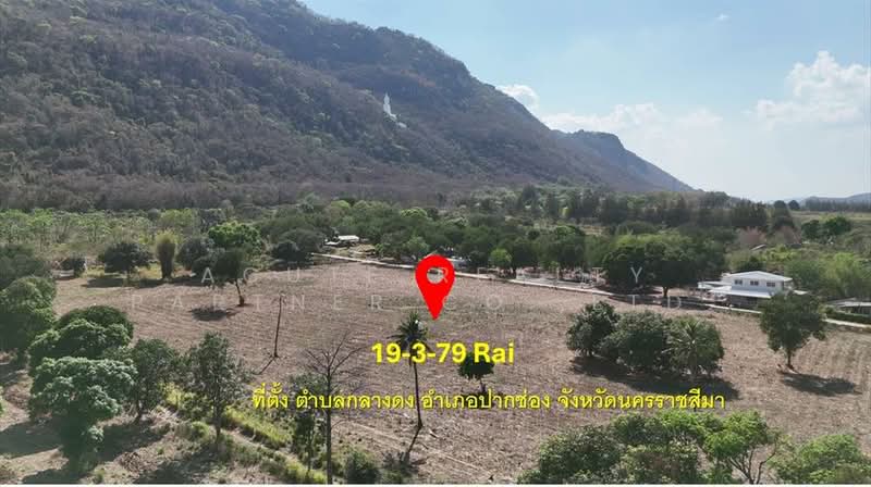 Vacant land for sale, 19 rai 379 sq.wa, Klang Dong Subdistrict, Pak Chong District, Nakhon Ratchasi, Nakhon Ratchasima, Klang Dong, Pak Chong, Nakhon Ratchasima, , 31,916 sqm, Land For Sale, by Acute Realty Partner Co.,Ltd., 500316460 - DDproperty.com