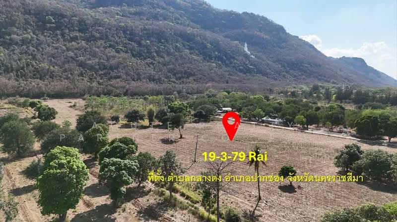 Vacant land for sale, 19 rai 379 sq.wa, Klang Dong Subdistrict, Pak Chong District, Nakhon Ratchasi, Nakhon Ratchasima, Klang Dong, Pak Chong, Nakhon Ratchasima, , 31,916 sqm, Land For Sale, by Acute Realty Partner Co.,Ltd., 500316460 - DDproperty.com