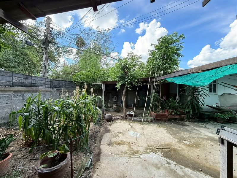 บ้านเดี่ยว 2 ชั้น 218 ตร.ว. บ้านเดี่ยว ซอยรามอินทรา47 ถนนรามอินทรา, Bangkok, ถนนรามอินทรา, Tha Rang, Bang Khen, Bangkok, , 872 sqm, Land For Sale, by คุณ นุชนาฏ ปทุมสูตร (จ๋า), 500316525 - DDproperty.com