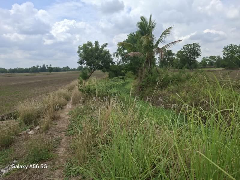 Land in Nong Khayang, Uthai Thani, Uthai Thani, ถนนอุทัย-หนองฉาง, Nong Phai, Nong Khayang, Uthai Thani, , 62,880 sqm, Land For Sale, by Thanitcha Kangkasuwanno, 500316551 - DDproperty.com