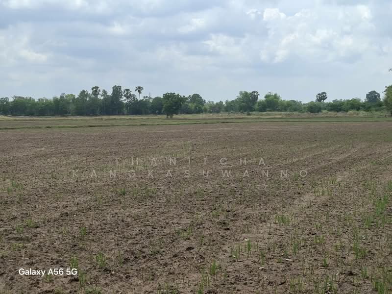 Land in Nong Khayang, Uthai Thani, Uthai Thani, ถนนอุทัย-หนองฉาง, Nong Phai, Nong Khayang, Uthai Thani, , 62,880 sqm, Land For Sale, by Thanitcha Kangkasuwanno, 500316551 - DDproperty.com