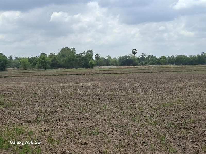 Land in Nong Khayang, Uthai Thani, Uthai Thani, ถนนอุทัย-หนองฉาง, Nong Phai, Nong Khayang, Uthai Thani, , 62,880 sqm, Land For Sale, by Thanitcha Kangkasuwanno, 500316551 - DDproperty.com
