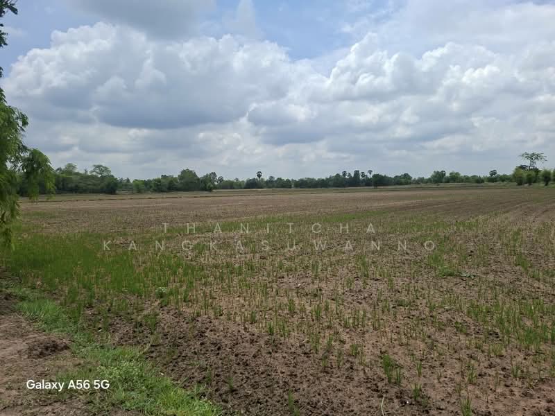 ที่ดินหนองขาหย่าง อุทัยธานี, อุทัยธานี, ถนนอุทัย-หนองฉาง, หนองไผ่, หนองขาหย่าง, อุทัยธานี, 62,880 ตร.ม., ที่ดิน ขาย, โดย Thanitcha Kangkasuwanno, 500316551 - DDproperty.com
