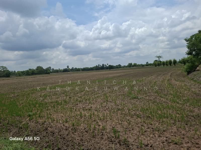 Land in Nong Khayang, Uthai Thani, Uthai Thani, ถนนอุทัย-หนองฉาง, Nong Phai, Nong Khayang, Uthai Thani, , 62,880 sqm, Land For Sale, by Thanitcha Kangkasuwanno, 500316551 - DDproperty.com