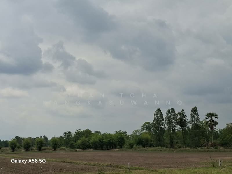 ที่ดินหนองขาหย่าง อุทัยธานี, อุทัยธานี, ถนนอุทัย-หนองฉาง, หนองไผ่, หนองขาหย่าง, อุทัยธานี, 62,880 ตร.ม., ที่ดิน ขาย, โดย Thanitcha Kangkasuwanno, 500316551 - DDproperty.com