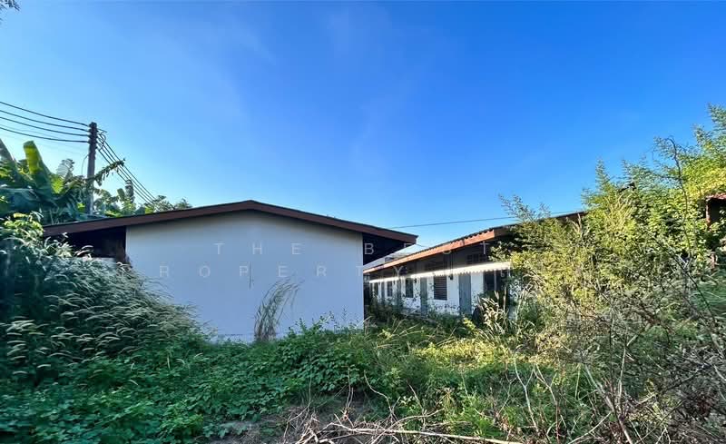 อาคารพาณิชย์นาป่า ชลบุรี, Chon Buri (Pattaya), Na Pa, Muang Chon Buri, Chon Buri (Pattaya), , 120 sqm, Shophouse For Sale, by The Best Property เปิ้ล, 500316580 - DDproperty.com