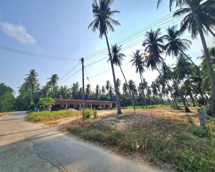 เมืองประจวบคีรีขันธ์, ประจวบคีรีขันธ์, คลองวาฬ, เมืองประจวบคีรีขันธ์, ประจวบคีรีขันธ์, 4,892 ตร.ม., ที่ดิน ขาย, โดย ERA Thailand, 500316591 - DDproperty.com