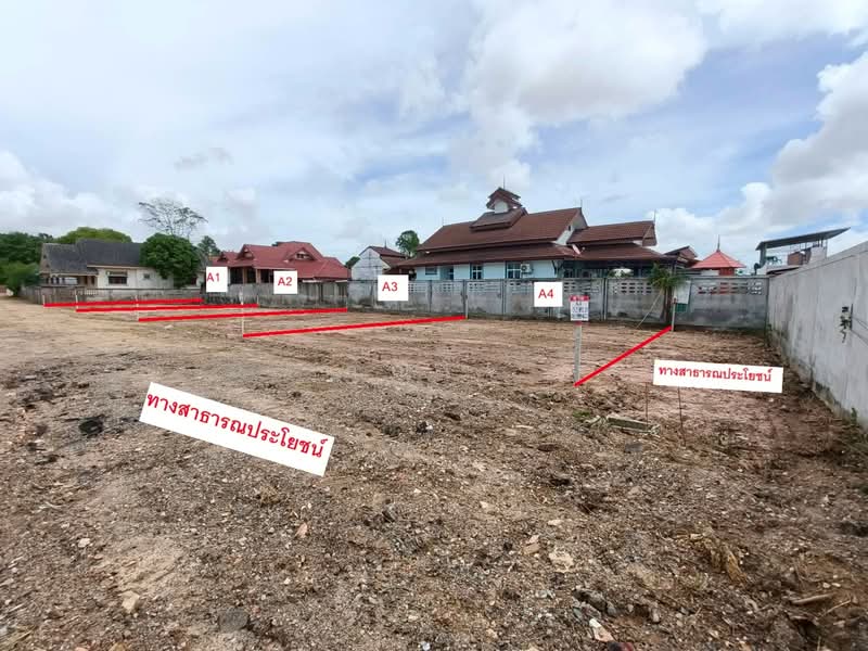 land for sell, Chon Buri (Pattaya), Sattahip, Chon Buri (Pattaya), , 208 sqm, Land For Sale, by คุณโจ, 500316594 - DDproperty.com
