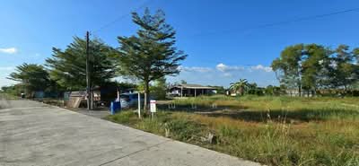 ขาย - ขายที่ดินลำลูกกาคลอง 14, ปทุมธานี