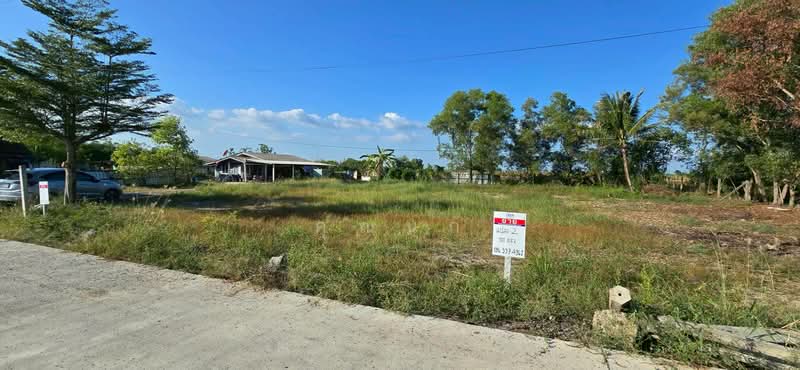 land for sell, Pathum Thani, Bung Khohai, Lam Luk Ka, Pathum Thani, , 1,252 sqm, Land For Sale, by คุณนก, 500316611 - DDproperty.com