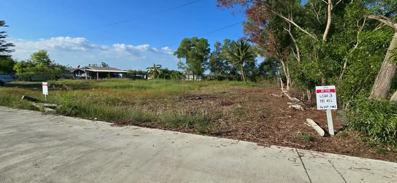land for sell, Pathum Thani, Bung Khohai, Lam Luk Ka, Pathum Thani, , 1,252 sqm, Land For Sale, by คุณนก, 500316611 - DDproperty.com