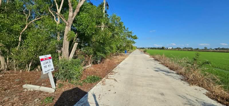 land for sell, Pathum Thani, Bung Khohai, Lam Luk Ka, Pathum Thani, , 1,252 sqm, Land For Sale, by คุณนก, 500316611 - DDproperty.com