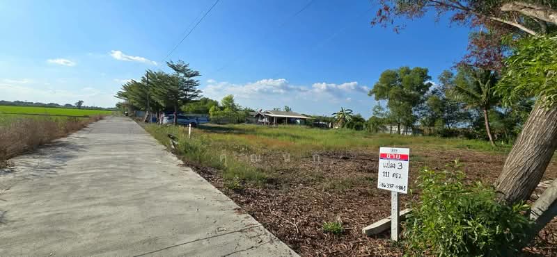 land for sell, Pathum Thani, Bung Khohai, Lam Luk Ka, Pathum Thani, , 1,252 sqm, Land For Sale, by คุณนก, 500316611 - DDproperty.com