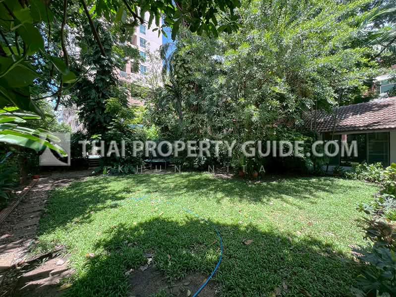 House with Shared Pool for rent in Sukhumvit, Bangkok, กรุงเทพ, คลองตันเหนือ, วัฒนา, กรุงเทพ, 350 ตร.ม., บ้านเดี่ยว ให้เช่า, โดย Khun Nita, 500316656 - DDproperty.com