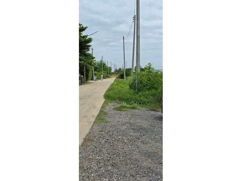 land for sell, Kanchanaburi, Wang Sala, Tha Muang, Kanchanaburi, , 12,436 sqm, Land For Sale, by คุณนก, 500316752 - DDproperty.com